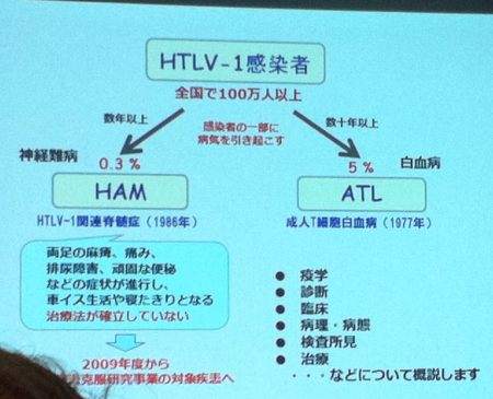 HTLV−1キャリアは全国100万人以上