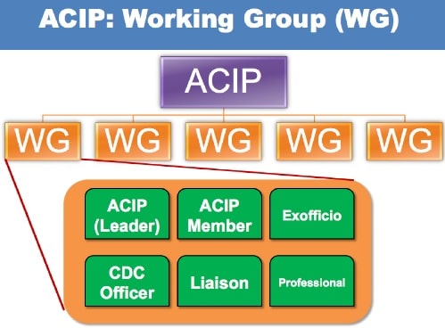 ACIPにはワーキンググループが設置されており、予防接種・ワクチン分科会もそれを踏襲します