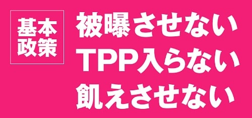 山本太郎候補の3つの基本政策