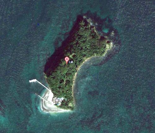 猿島の上空から見たグーグルマップの航空写真
