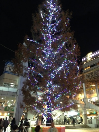 20131224tree