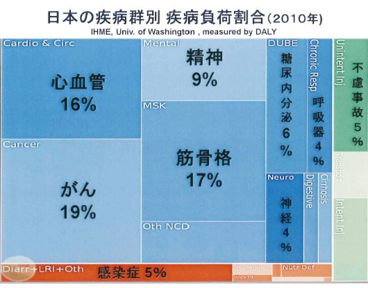 日本の疾病群別疾病負荷割合(2010年)