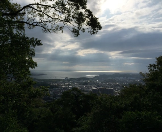 武山から見える風景