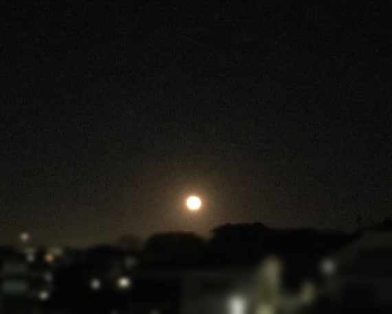 とても美しい月でしたね