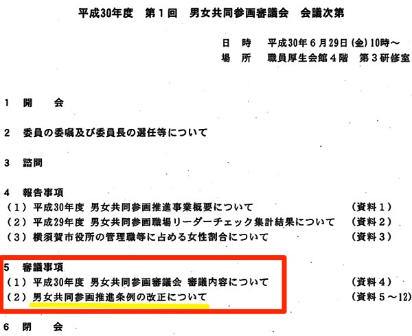 「男女共同参画審議会（第1回）議事次第」