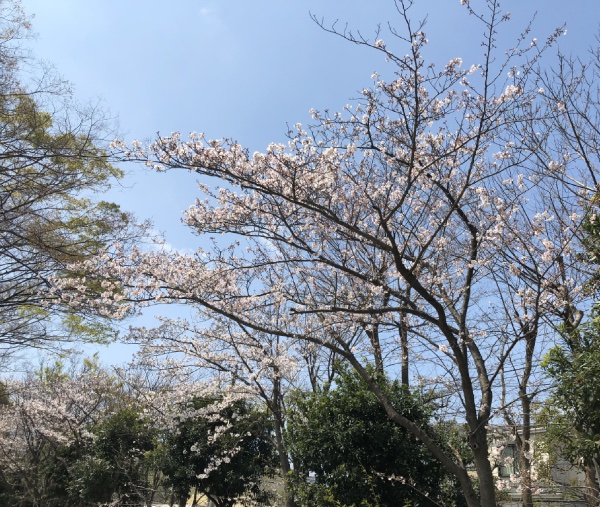 久里浜・神明公園