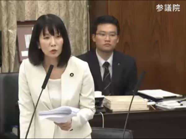 参議院外交防衛委員会で質問に立つ高瀬弘美議員