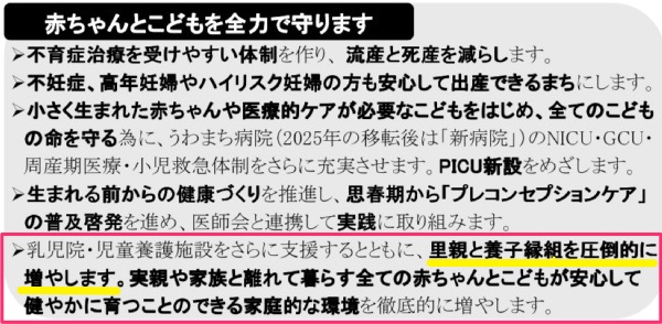 藤野英明2019年選挙チラシより