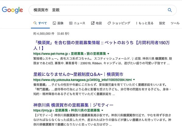 「横須賀市・里親」でグーグル検索すると表示されるのは