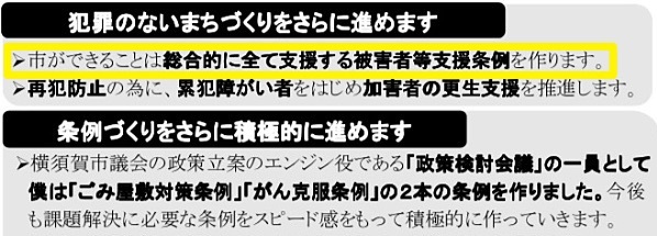 2019年4月の市議会議員選挙で配布したチラシより