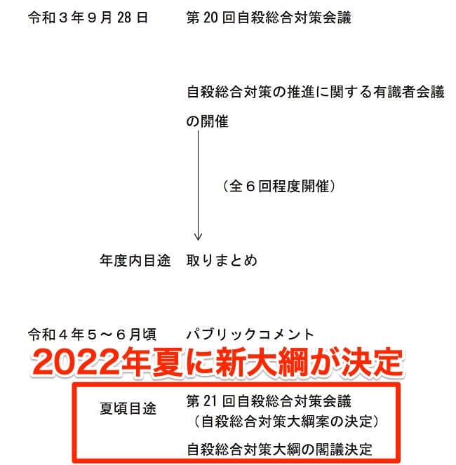 自殺総合対策大綱の見直しスケジュール