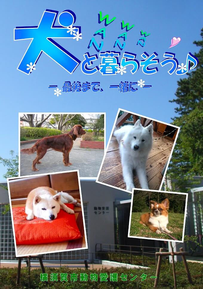 横須賀市動物愛護センター・パンフレット「犬と暮らそう、最後まで一緒に」