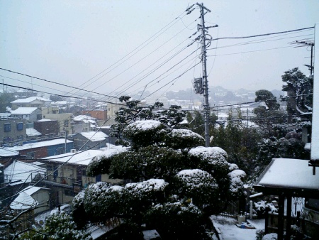 雪の横須賀