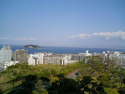横須賀中央公園の頂上から見える海と猿島